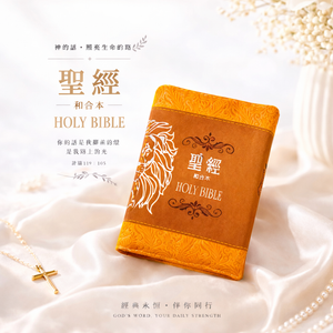 棕色獅皮面拉鍊3系列和合本聖經情境展示,聖經直立擺放於米白布面上,搭配十字架項鍊、珍珠與花器裝飾