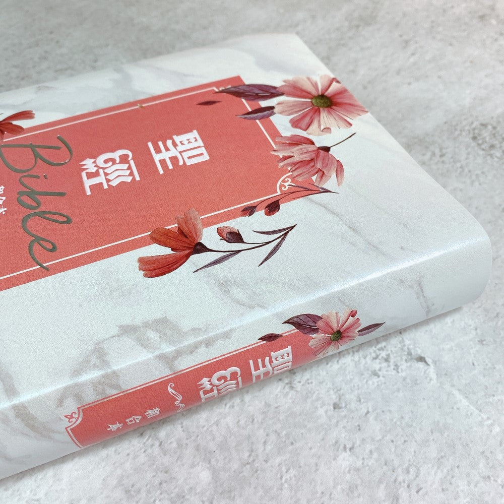清新雛菊彩繪索引聖經封面近拍，粉橘書名框、花卉插畫與仿大理石紋細節展示