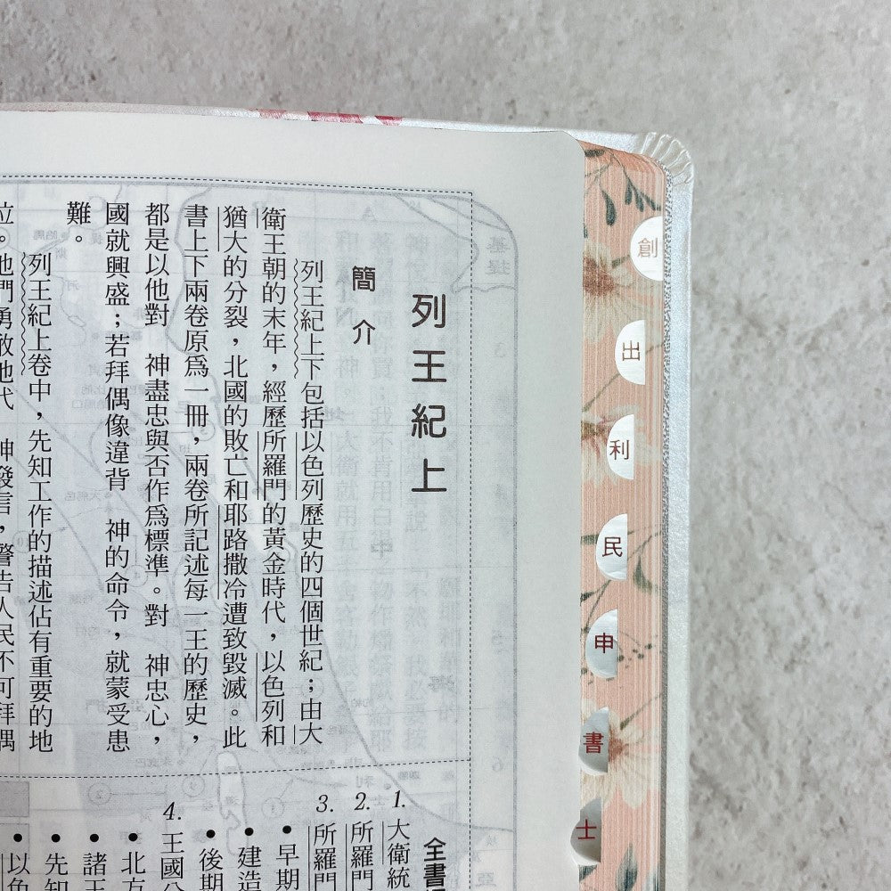 清新雛菊彩繪索引聖經內頁與書卷索引特寫，頁面展開可見經文版面與索引頁籤