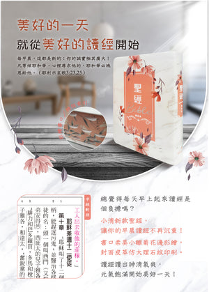 清新雛菊彩繪索引聖經宣傳情境圖，展示封面、索引放大細節與內頁示意，搭配晨間讀經主題文案